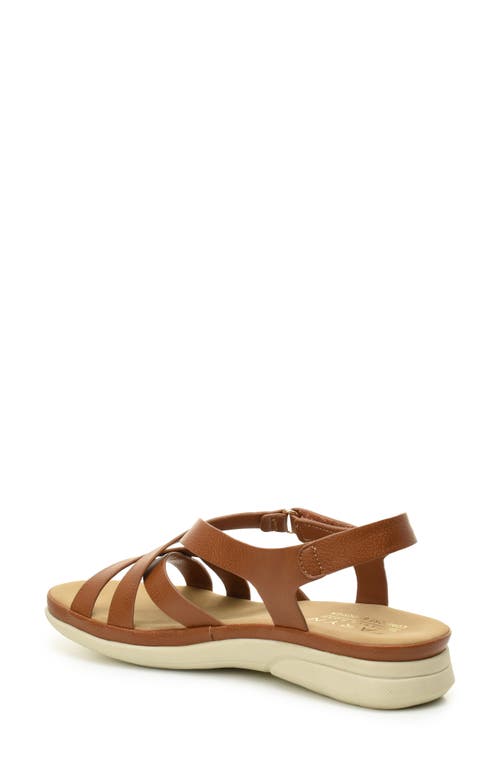 Taryn Rose Lasercut Slide Sandal In Tan