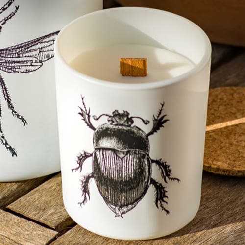 Vila Hermanos Insect Candle In Jar 2.65 Ounce