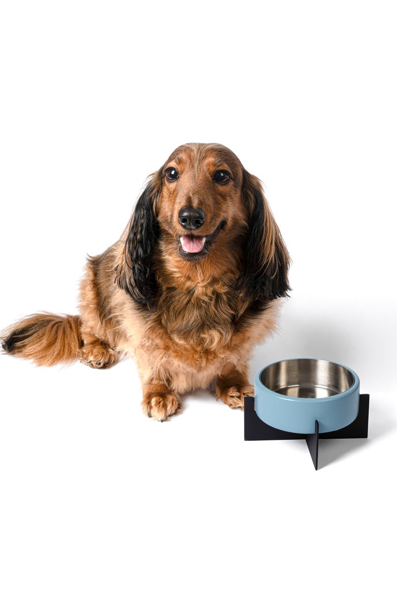 Intersecta Concrete and Stainless Steel Bowl with Metal Stand Pet Feeder, Main, color, Blue/Black