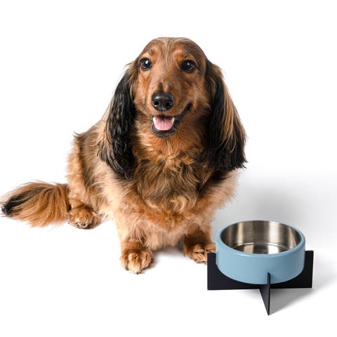 Intersecta Small/Medium Concrete and Stainless Steel Bowl 16oz (2 Cups) with Metal Stand Pet Feeder