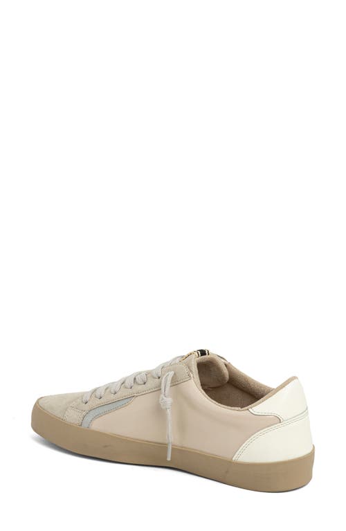 Shushop Robbie Lace-up Sneaker In Brown