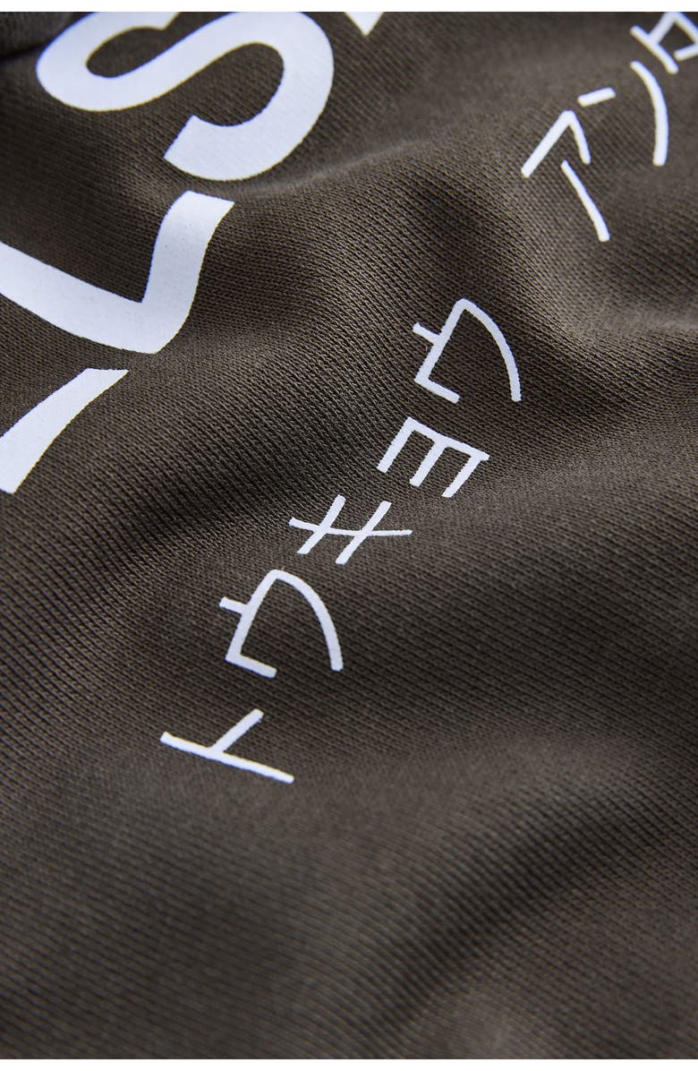 smALLSAINTS by ALLSAINTS Kids' Underground Hoodie, Alternate, color, Brown