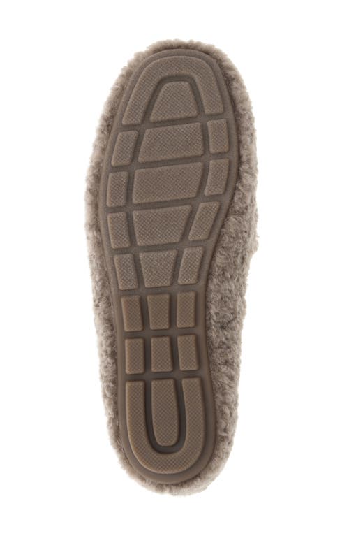 Mia Harmonie Faux Shearling Bit Slipper In Brown
