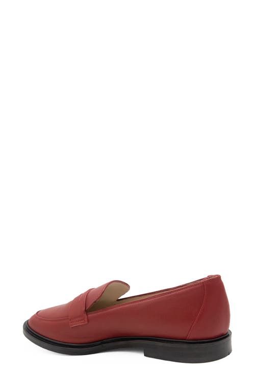 Amalfi By Rangoni Calabrone Penny Loafer In Brunello Piuma Lux