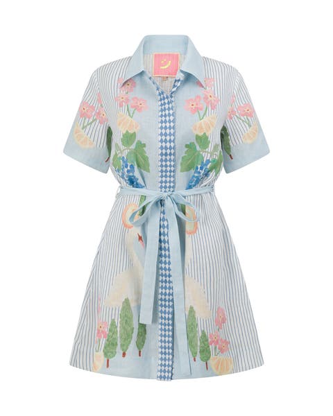 Swan Lake Mini Shirt Dress