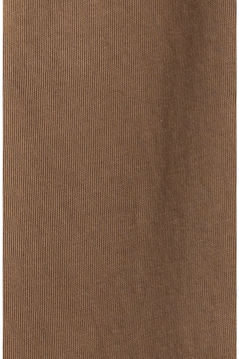 Raglan Sleeve T-Shirt, Alternate, color, BROWN