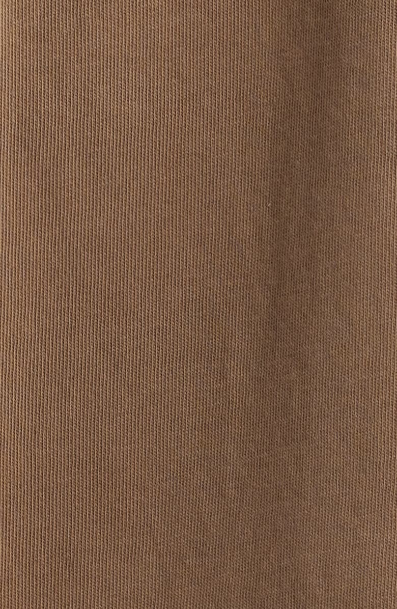 Elwood Raglan Sleeve T-Shirt, Alternate, color, Brown