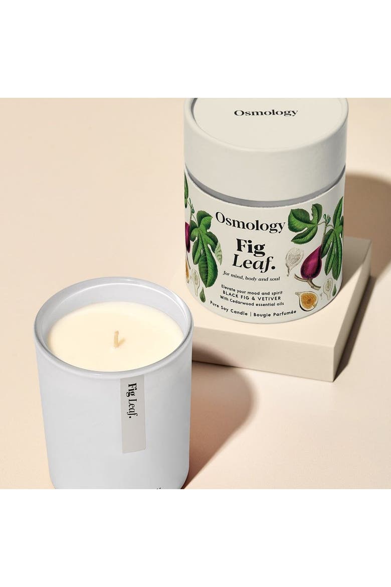 Fig Leaf Scented Candle - Black Fig Vetiver and Cedarwood, Alternate, color, white