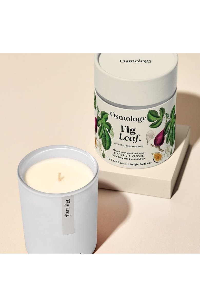 Osmology Fig Leaf Scented Candle - Black Fig Vetiver and Cedarwood, Alternate, color, White