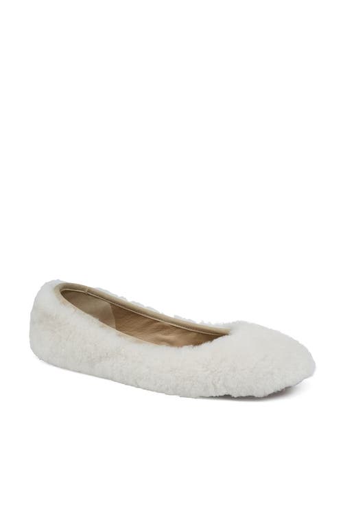 Grace Footwear Reims Ballerina In Multi