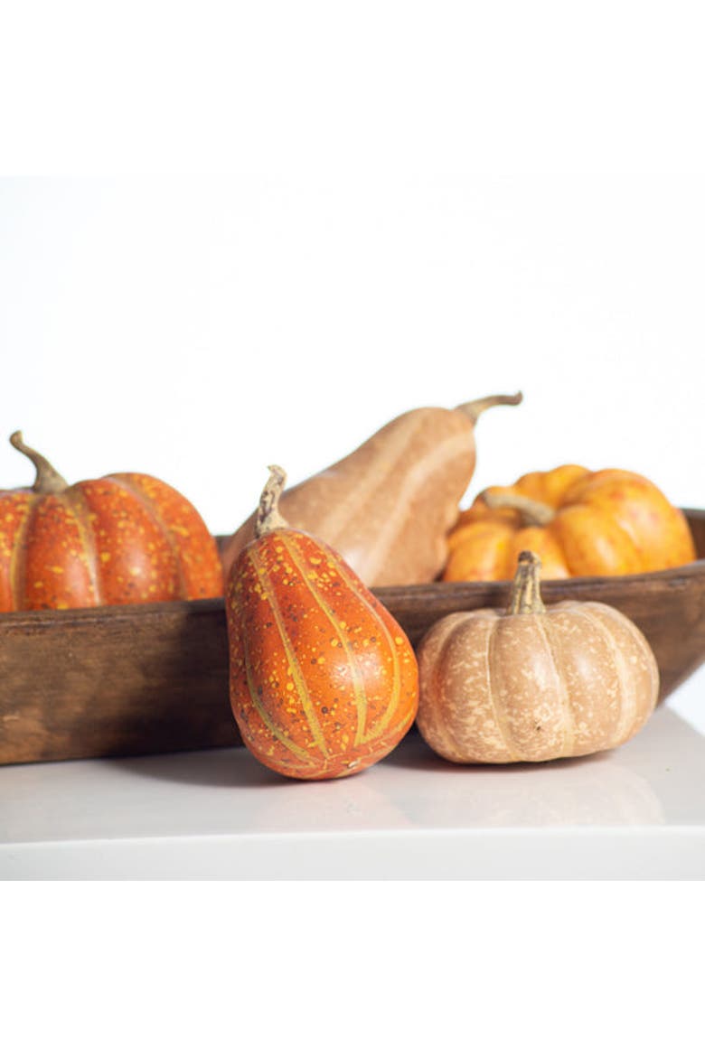 Weathered Harvest Thanksgiving Mixed Orange Pumpkin & Gourd Set of 9, Alternate, color, Orange