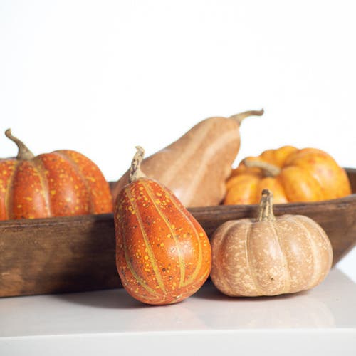 Darby Creek Trading Weathered Harvest Thanksgiving Mixed Orange Pumpkin & Gourd Set Of 9 In Orange