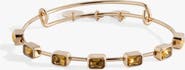 Alex and Ani November Birthstone Emerald Cut Bangle