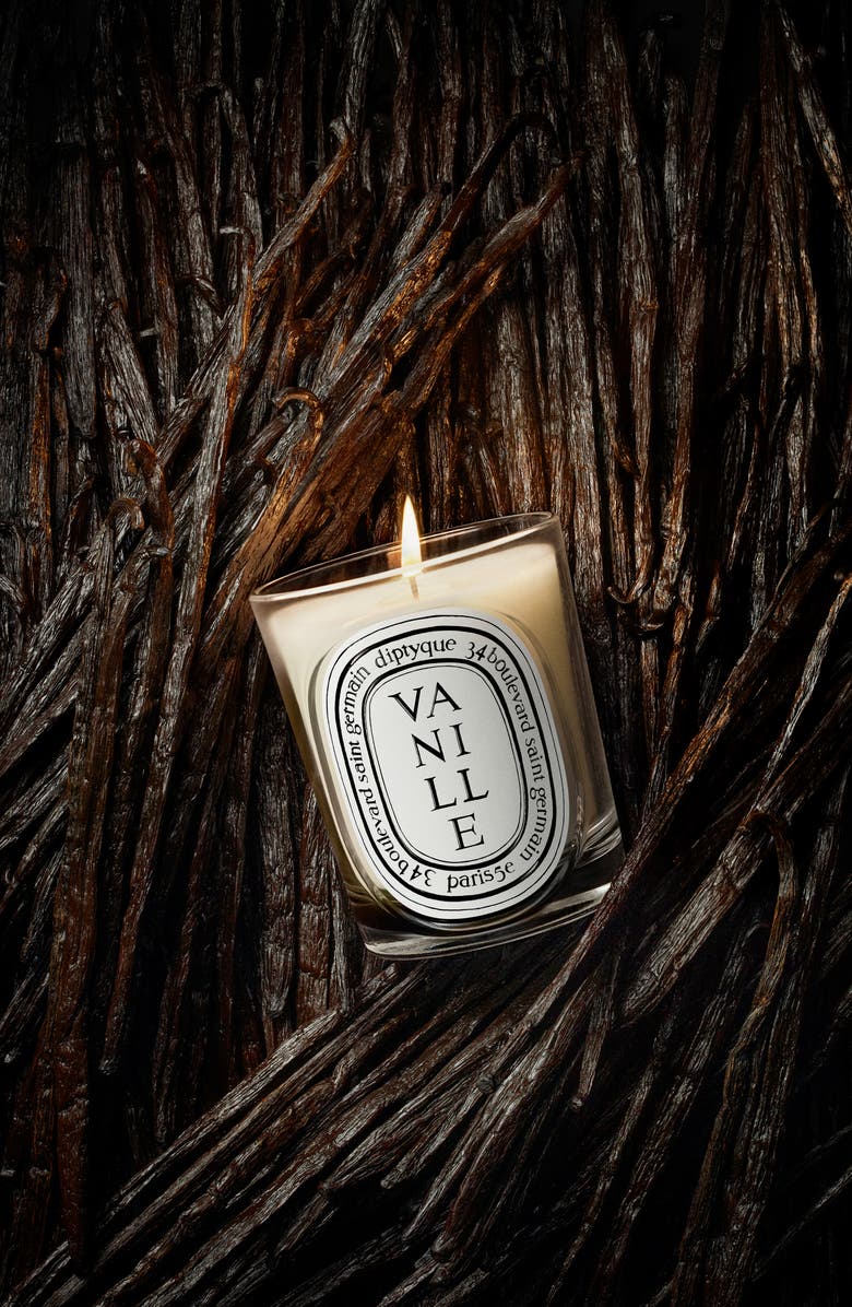 Diptyque Vanille (Vanilla) Classic Candle, Alternate, color, 