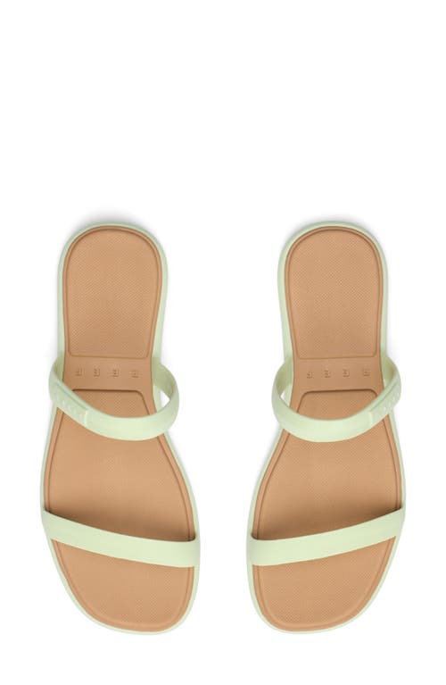 Reef Water Willow Marina Slide Sandal In Green