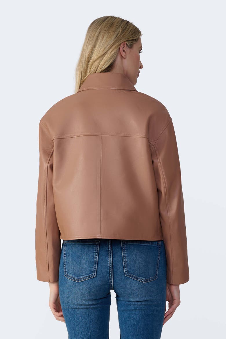 Ella Leather Jacket, Alternate, color, Mocha Brown