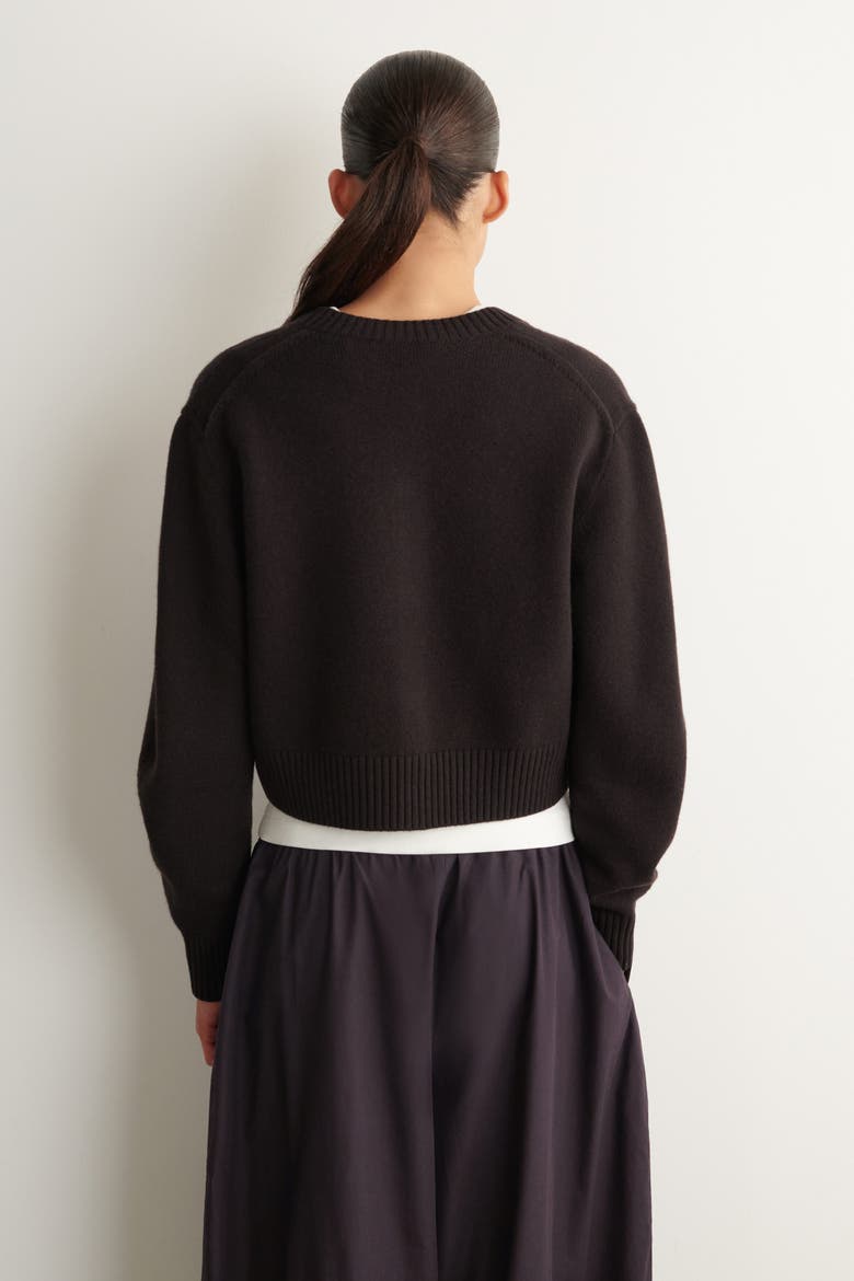 Merino Wool Sweater, Alternate, color, BROWN