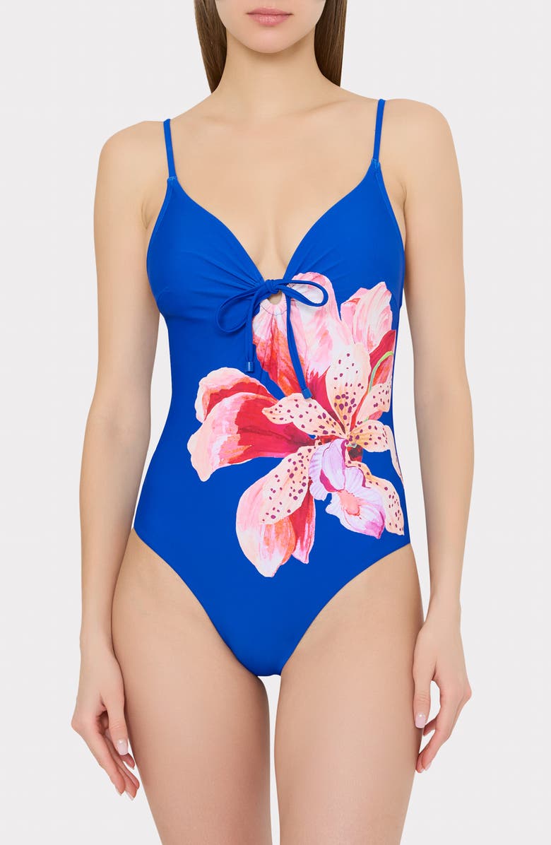 Milly Songe Diris One-Piece Swimsuit, Main, color, Blue Multi