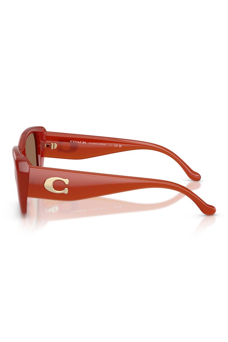 54mm Square Sunglasses, Alternate, color, MILKY BURNT ORANGE / BROWN