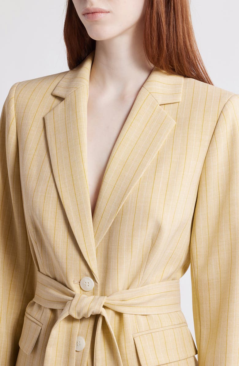 Tahari ASL Belted Stripe Blazer, Alternate, color, 