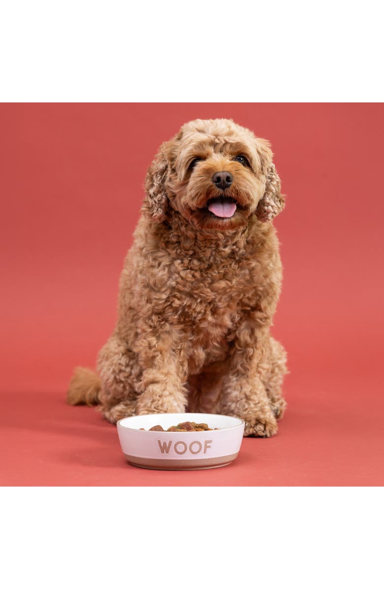MASON CASH Woof Dog Bowl, 5.9 Inch, 18.6oz, Cream & Tan, Alternate, color, Multicolored