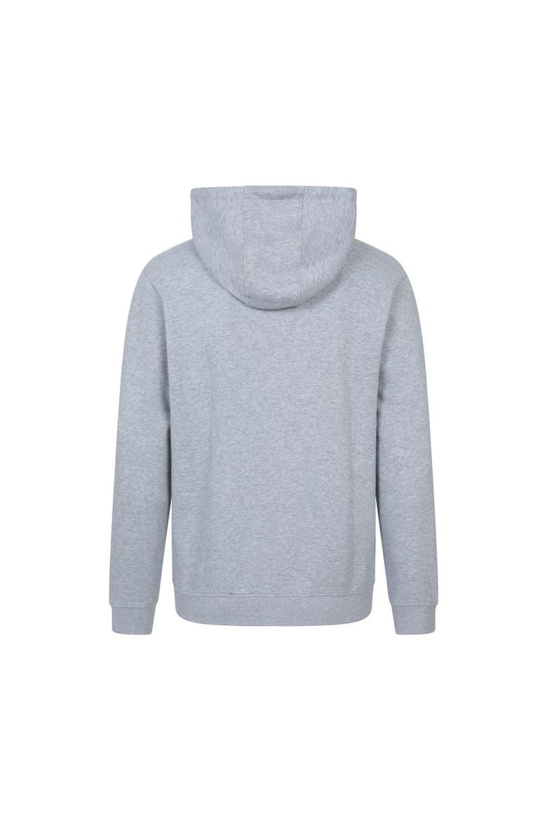 Spirit Of Adventure Full Zip Hoodie, Alternate, color, Gray