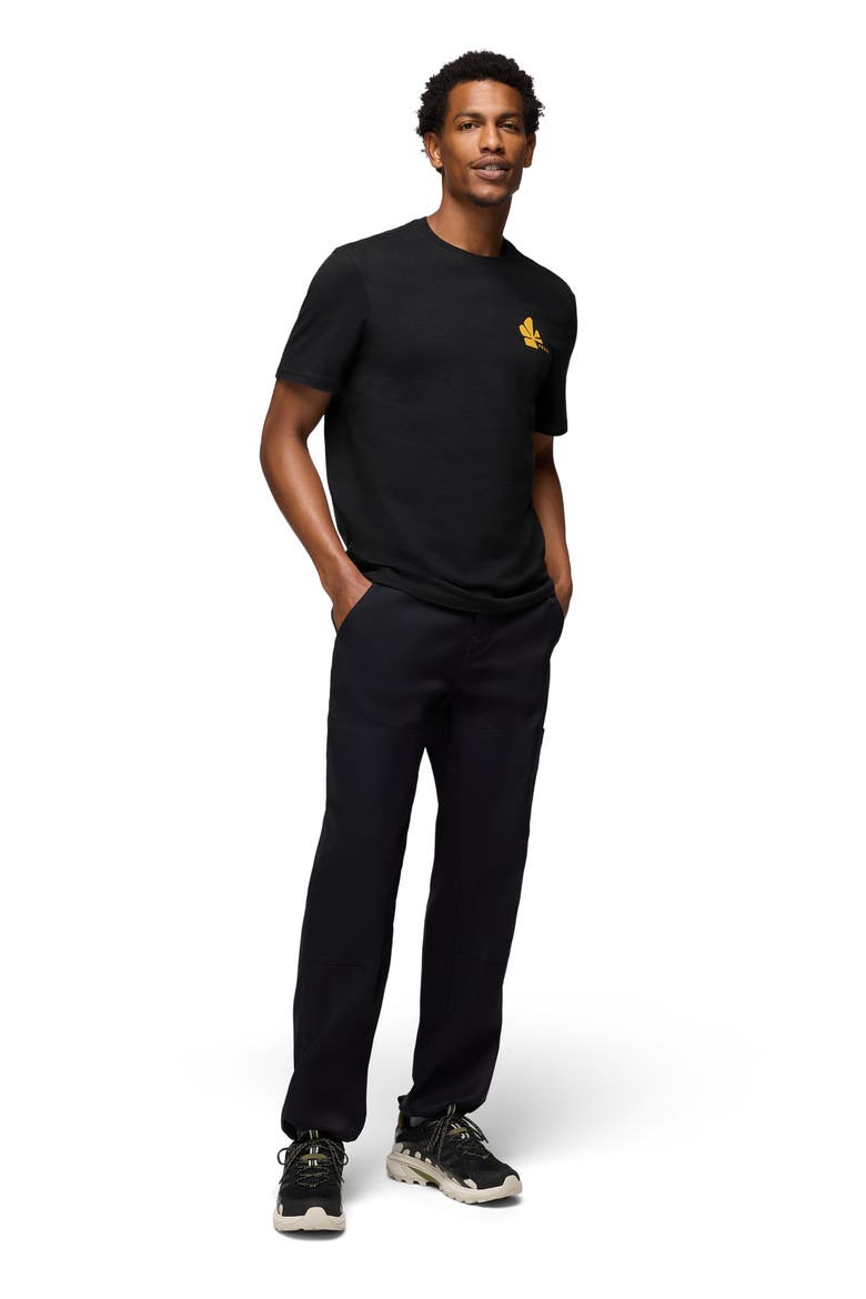 Stretch Zion™ Carpenter Pants, Alternate, color, BLACK