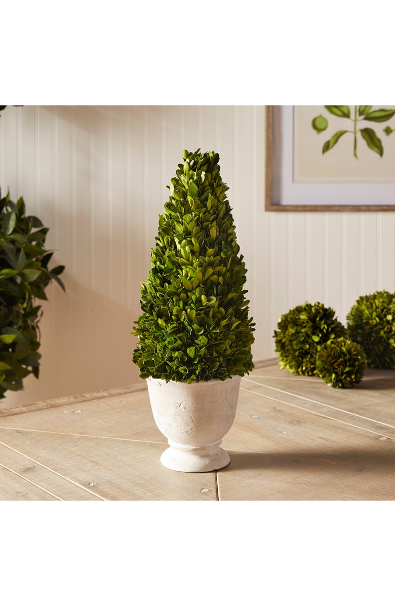 Napa Home & Garden Boxwood Cone Topiary In Pot, Alternate, color, Green