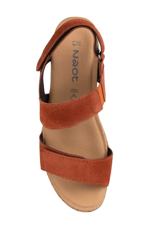 Naot Sunrise Platform Wedge Sandal In Spice Nubuck