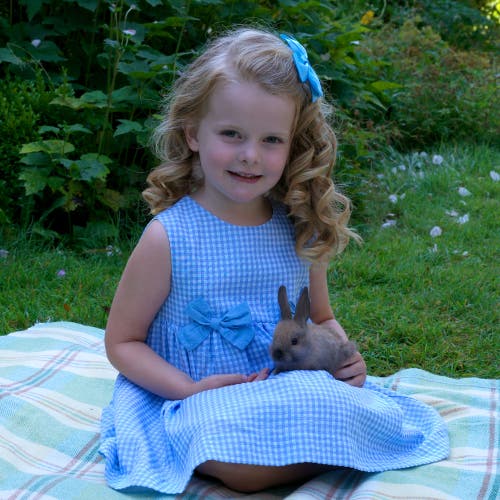 Rachel Riley Check Bow Dress & Bloomers In Blue