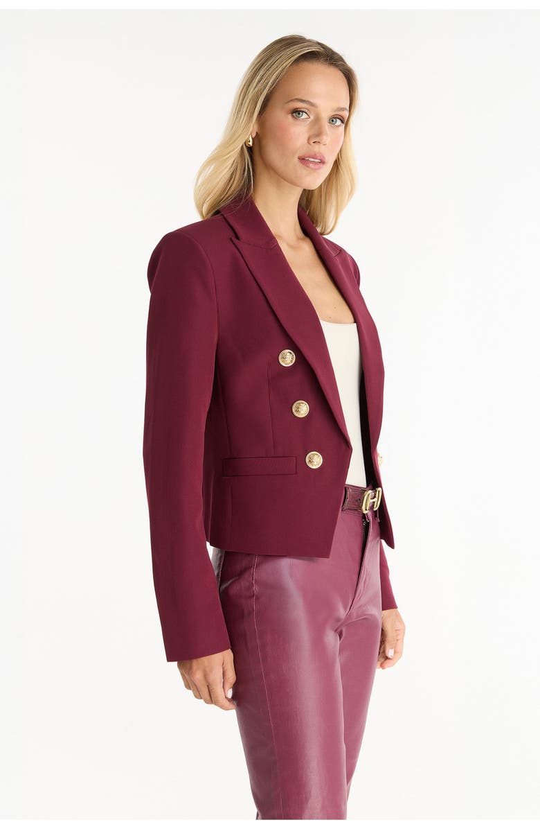 The Noli Shop Gabrielle Double Breasted Blazer, Alternate, color, Merlot