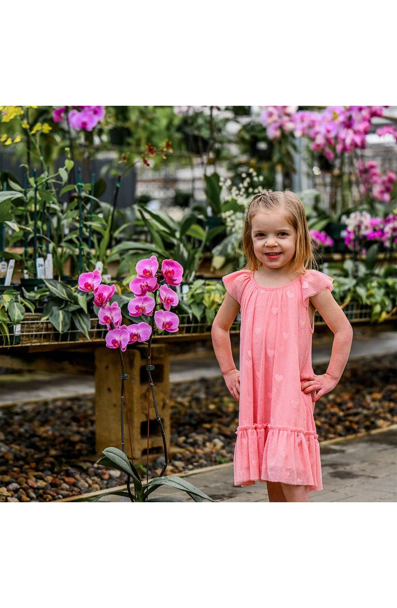 oh baby! Hearts Bobinette Stella Dress, Alternate, color, Blush