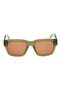  Shiny Dark Green / Brown