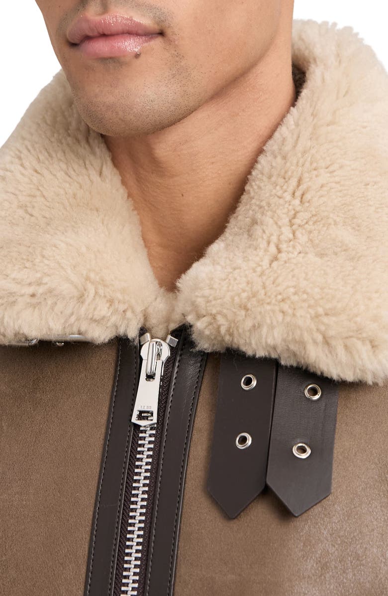 Reiss Hardy Genuine Shearling Trim Aviator Jacket, Alternate, color, Light Brown