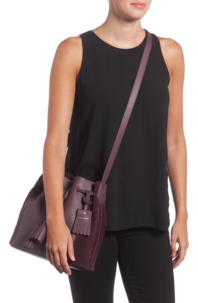 Longchamp Penelope Fantasie Leather Bucket Bag, Alternate, color,