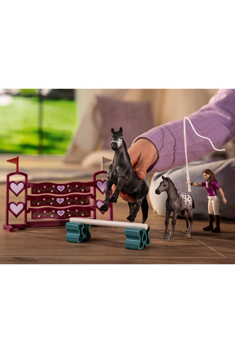 Horse Club, Lisa's Tournament Training, 7 Piece Playset, Posable Rider, 4+, Alternate, color, Multicolored