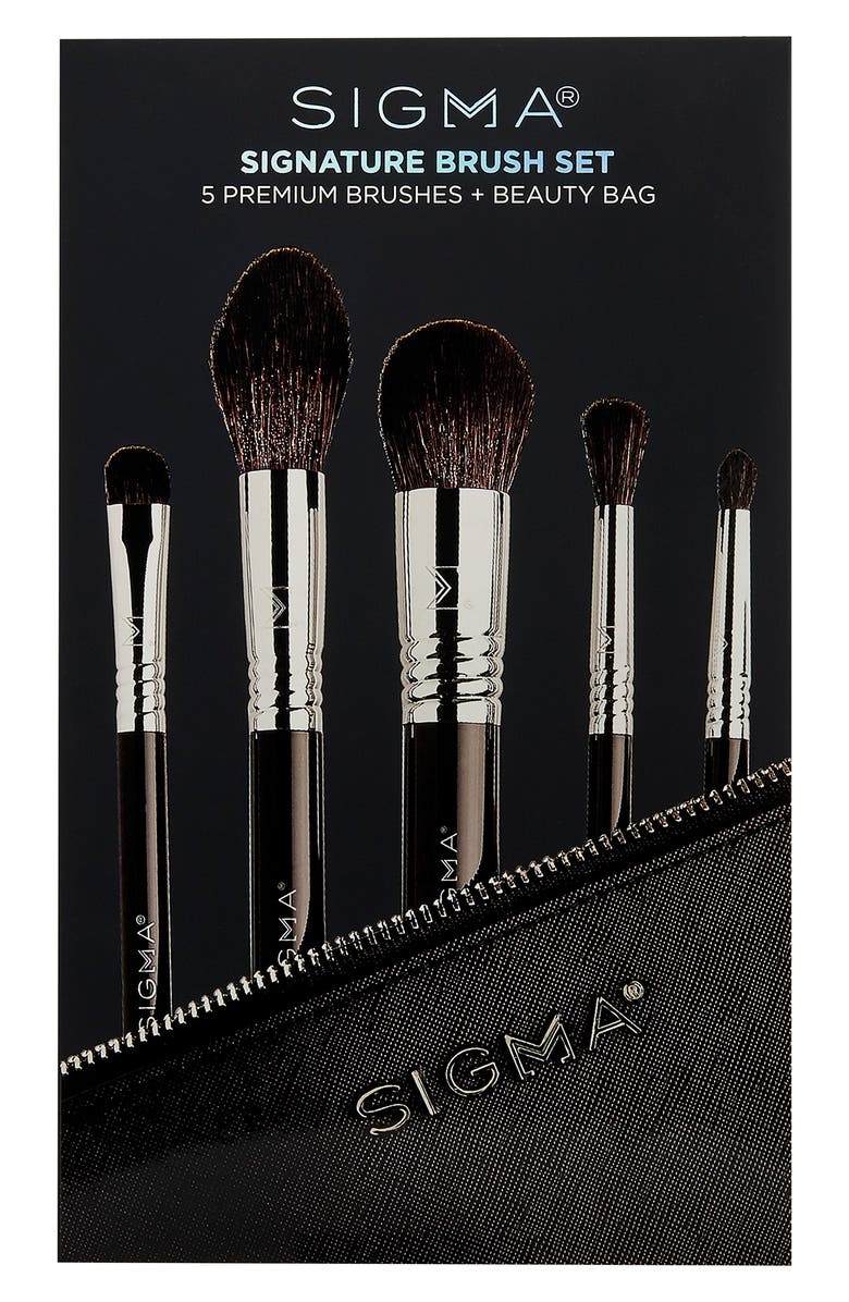 Sigma Beauty Signature Brush Set, Alternate, color, 