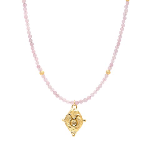 Taurus Zodiac Choker Necklace