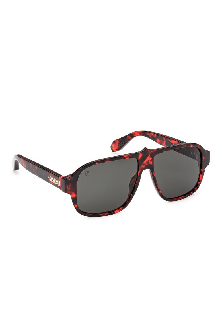 59mm Navigator Sunglasses, Alternate, color, RED HAVANA / GOLD / ZEISS