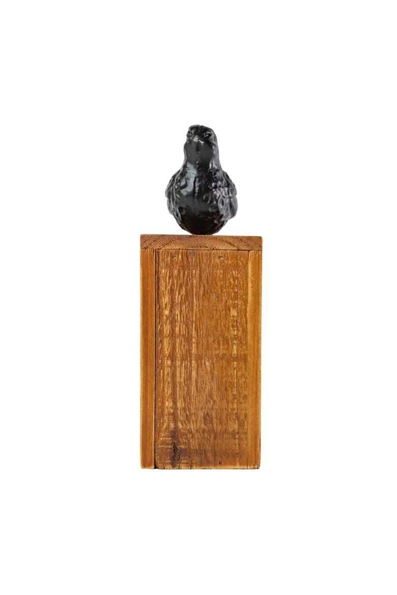 Black Bird Figure Cast Iron Wood & MDF, Alternate, color, Black