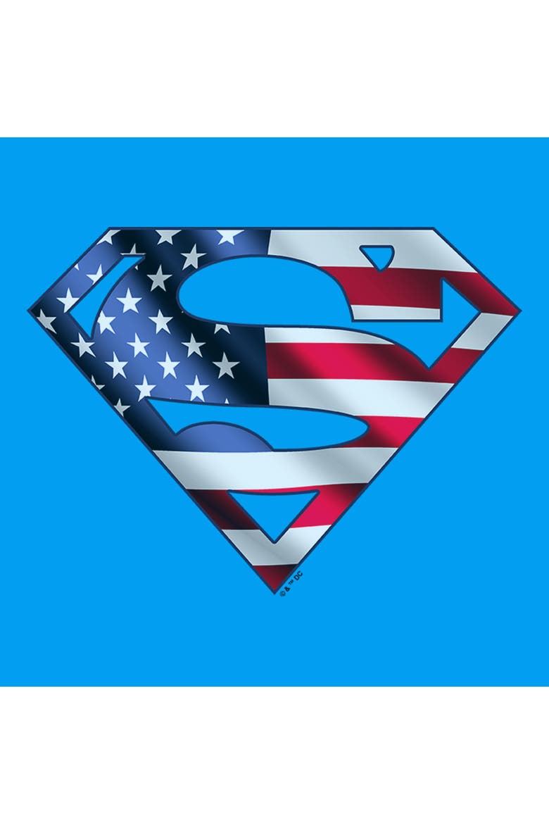 Boy's Superman American Shield Logo  Graphic T-Shirt, Alternate, color, Sapphire