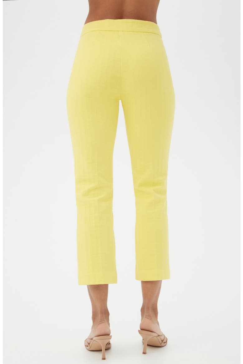 North Beach Ankle Drop Pants, Alternate, color, DAISY