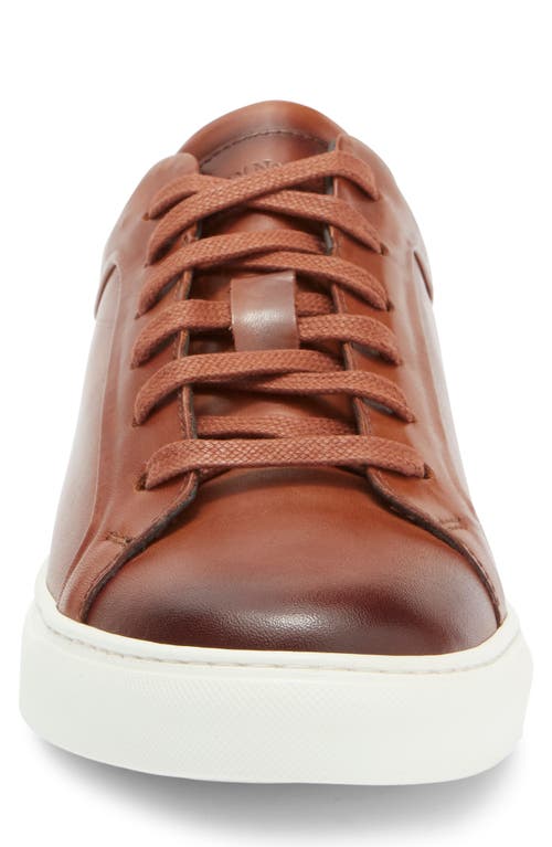 To Boot New York Mesa Low Top Sneaker In Cognac
