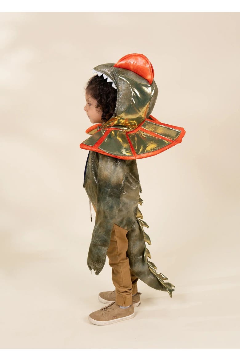 Dinosaur Play Costume Cape, Alternate, color, Brown