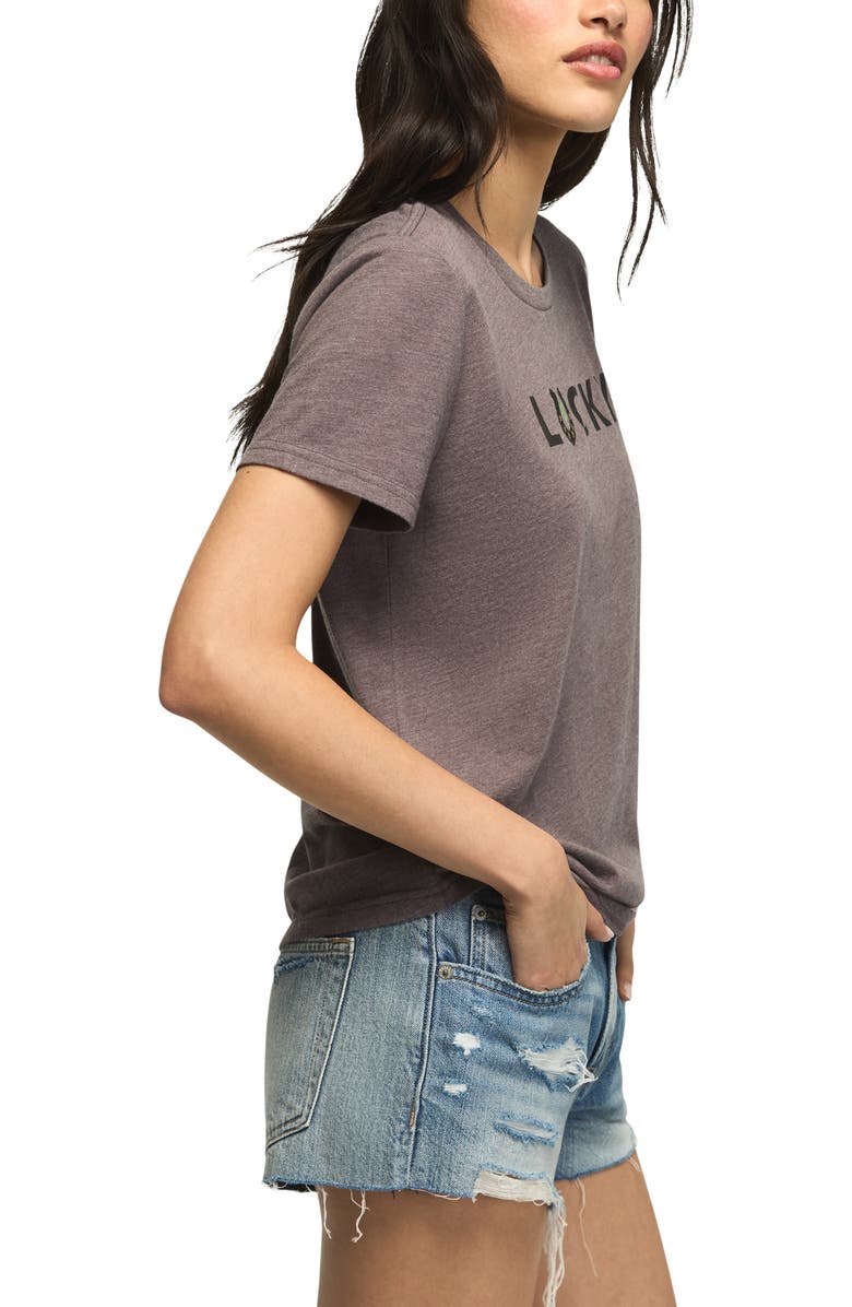 Lucky Brand Lucky Horseshoe Appliqué T-Shirt, Alternate, color, Rabbit