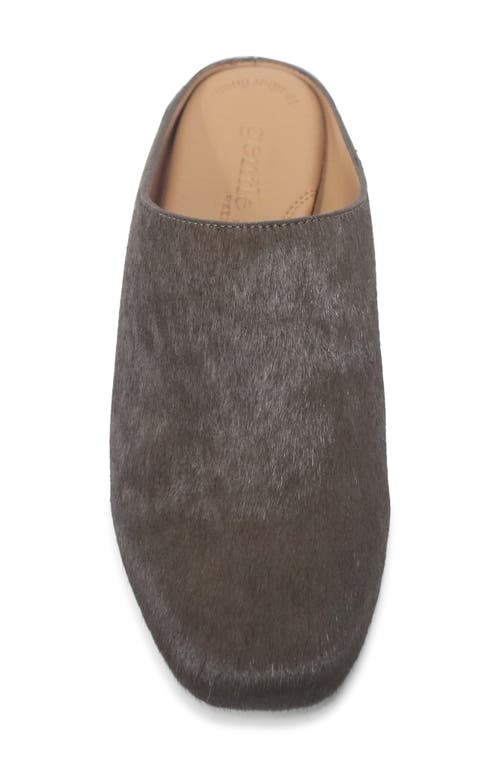 Gentle Souls Wanda Genuine Calf Hair Mule In Brown