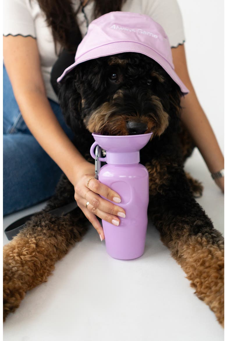 Dog Leash & 22 oz. Water Bottle Set, Alternate, color, LILAC
