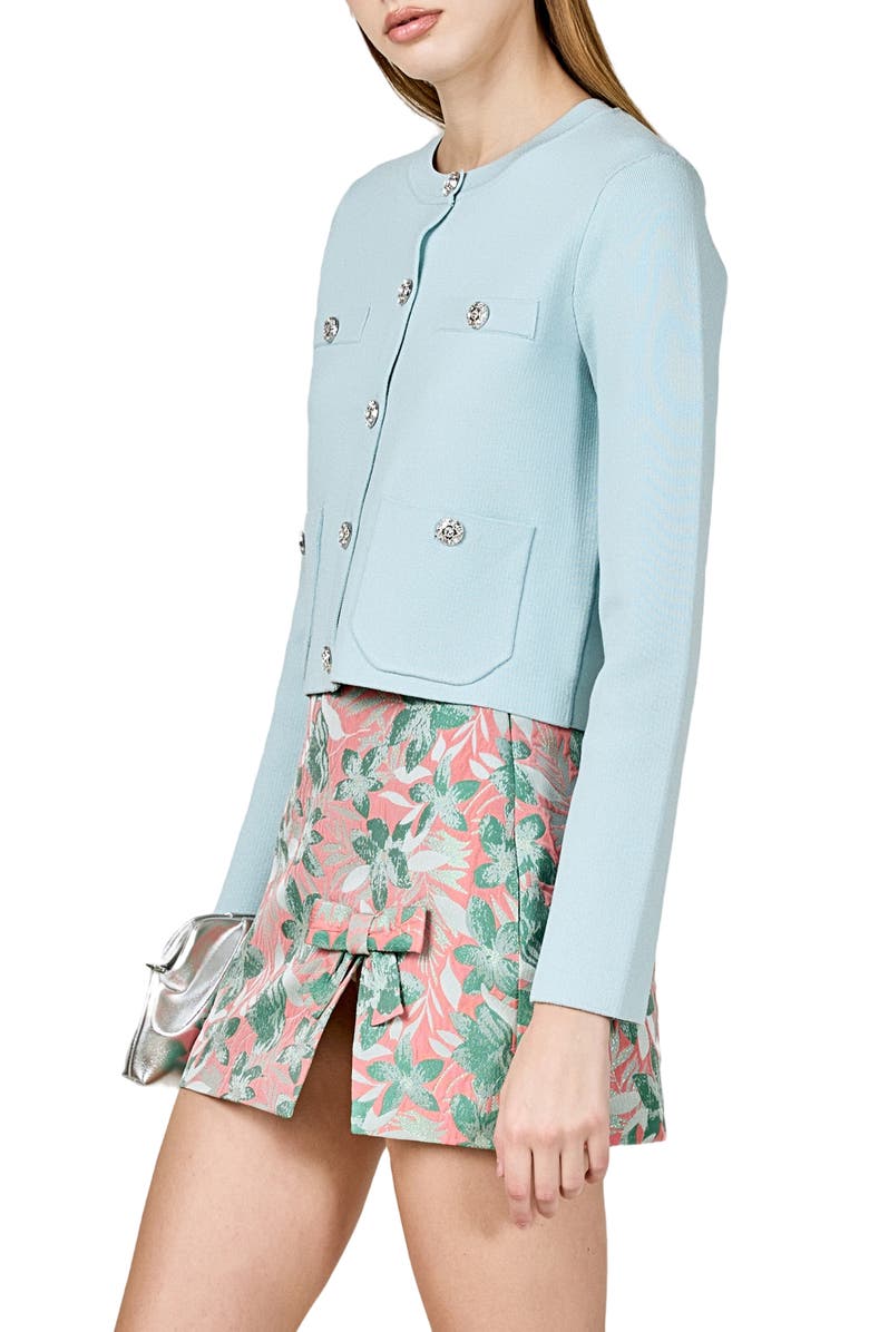 Endless Rose Rhinestone Cardigan, Alternate, color, Powder Blue