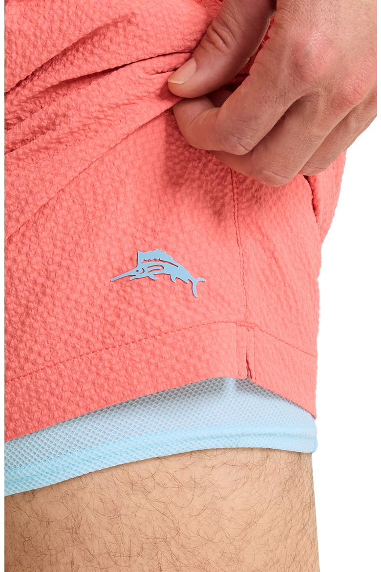 Naples Surf Seersucker Volley Swim Trunks, Alternate, color, TUTTI FRUTTI