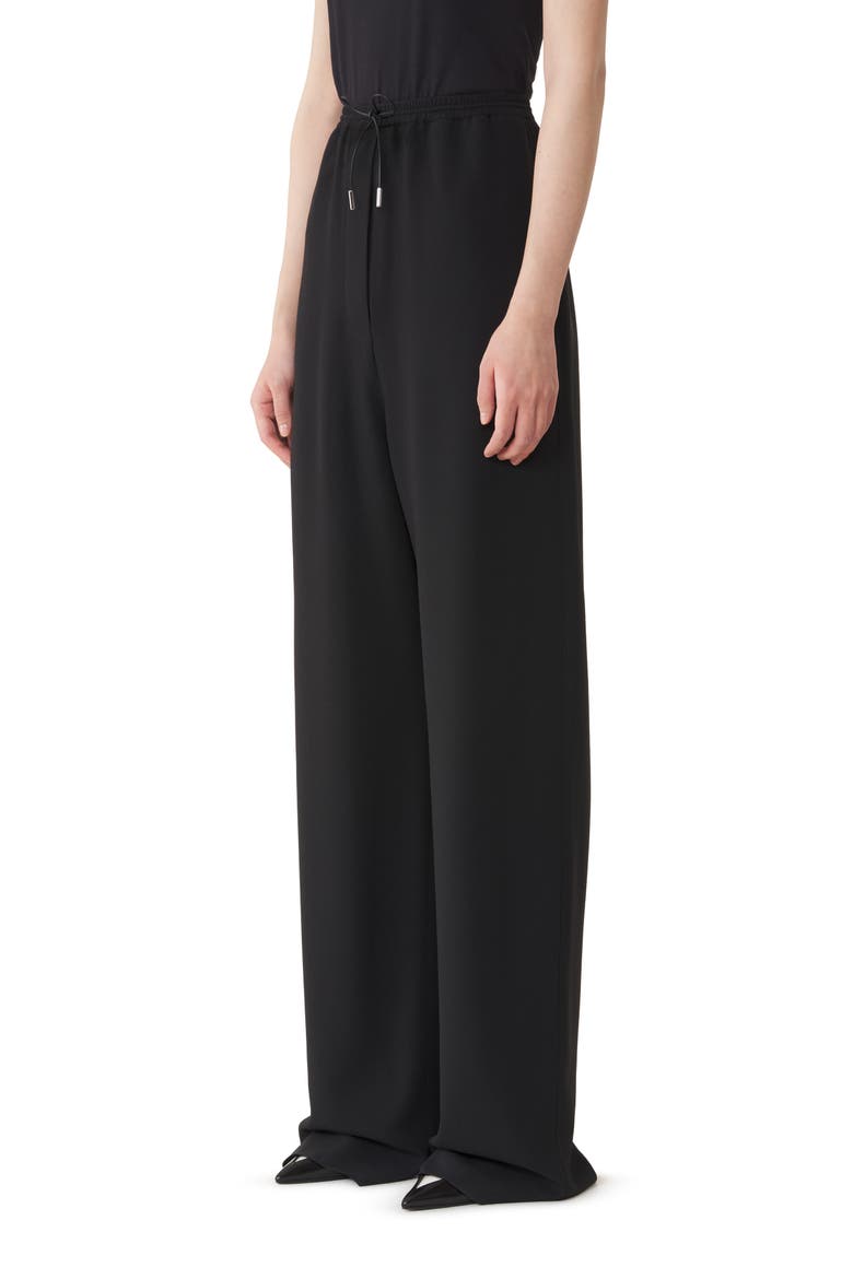 Wide Pants In Sable, Alternate, color, Black